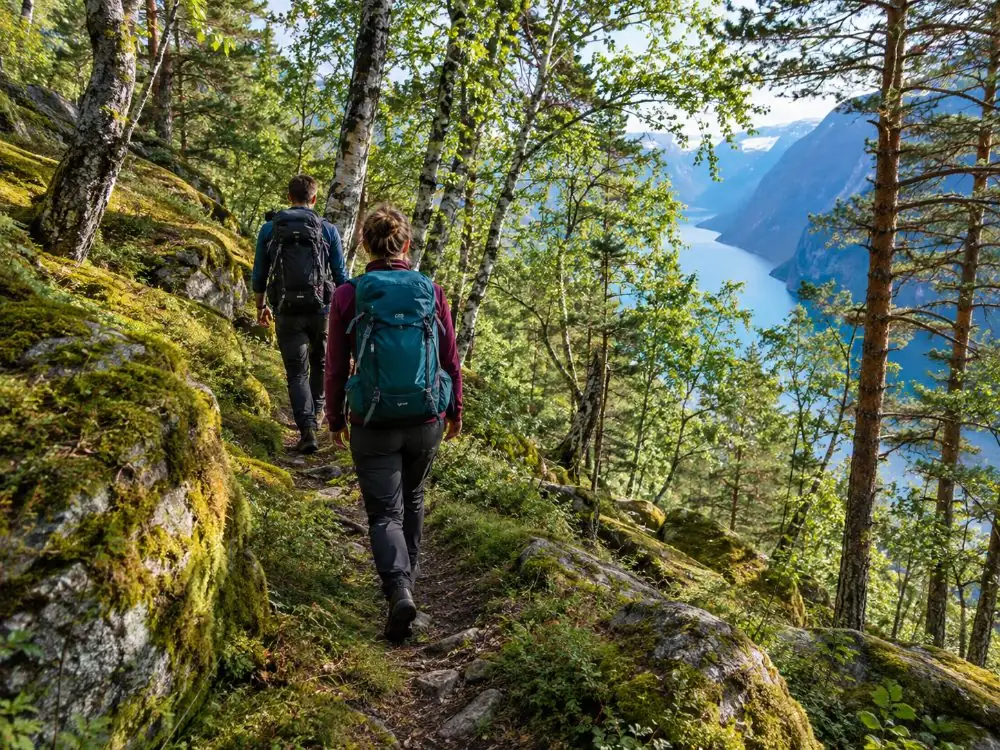 Stavanger/Sandnes: Preikestolen Guided Hidden Nature Hike